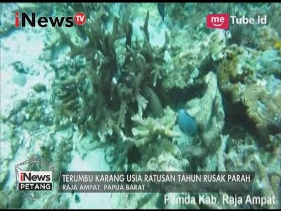 Terumbu karang rusak, KLH siap gugatan ganti rugi dan aspek hukum - iNews Petang 15/03