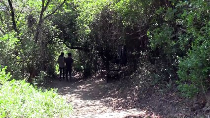 8 bin yıllık İncirliin'e turist akını - MUĞLA