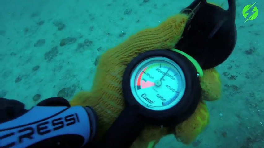 Requin à l'horizon capitaine !