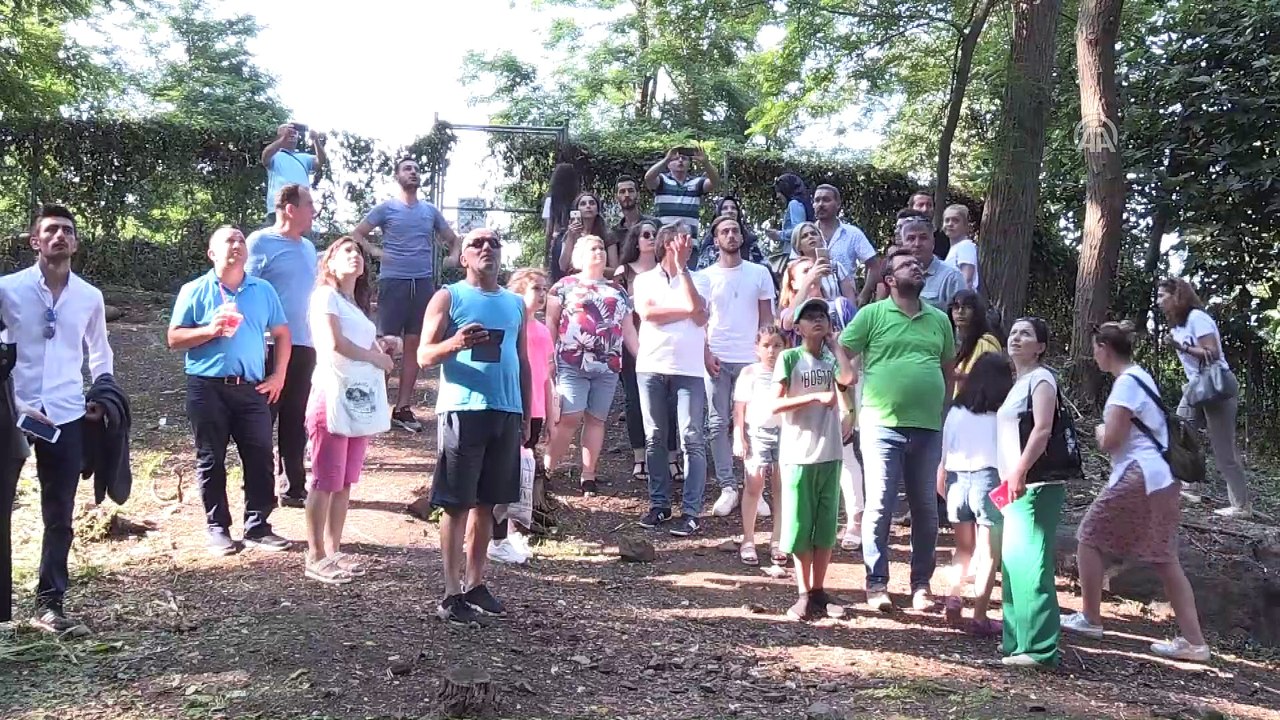 Mitolojik Giresun Adası'na turist ilgisi (1) - GİRESUN