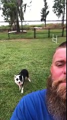 Un chien obéit aux consignes de son maître dans son dos