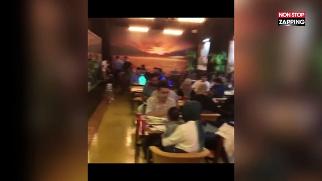 Turquie : Dans ce bar à chicha, un lion en cage divertit les clients (Vidéo)