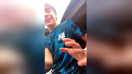 Des girages mangent dans une voiture... amusant !