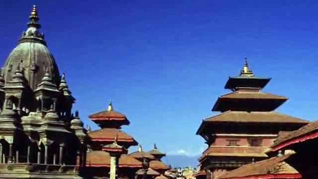 LUẬT NHÂN QUẢ CHẲNG BAO GIỜ TRẬT TRỒNG CÂY GÌ THÌ MỌC CÂY NẤY