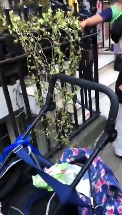 Sharif Family Throwing eggs on Protestors outside the Avenfield Apartments