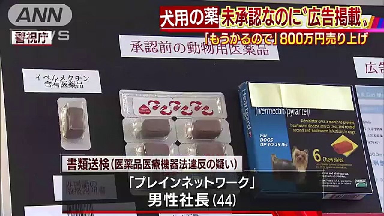 「もうかるので」未承認なのに・・・犬用の薬広告掲載か