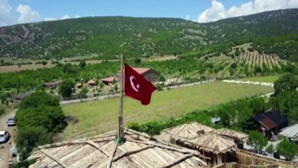 Türkiye'nin En Büyük Lavanta Bahçesinde Hasat Zamanı...