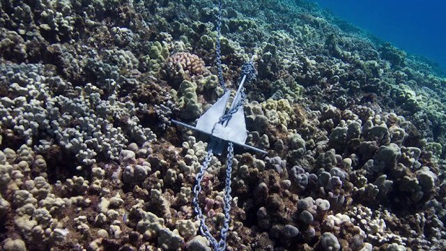 Jeff and Teri Leicher Honored as Scuba Diving’s July Sea Heroes