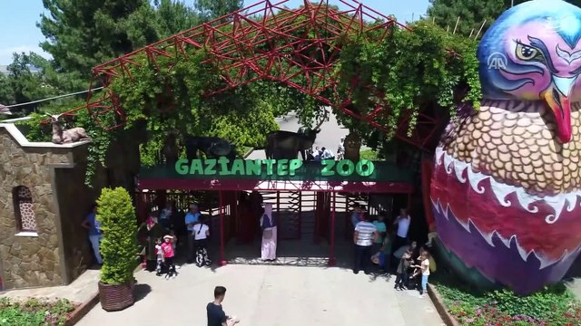 Hayvanat bahçesi sakinleri 'buzlu kokteyl' ile serinliyor - GAZİANTEP
