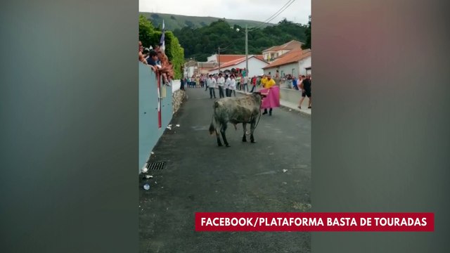 Shocking Video Shows Man Fighting Bull While Holding Small Child