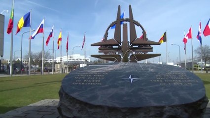 "Anëtarësimi në NATO, pas referendumit të suksesshëm"