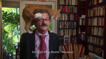 Donner une interview avec son chat sur les épaules (Pologne)
