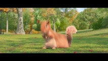 Sherlock Gnomes - Clip 03 Getarnt als Eichhörnchen (Deutsch) HD