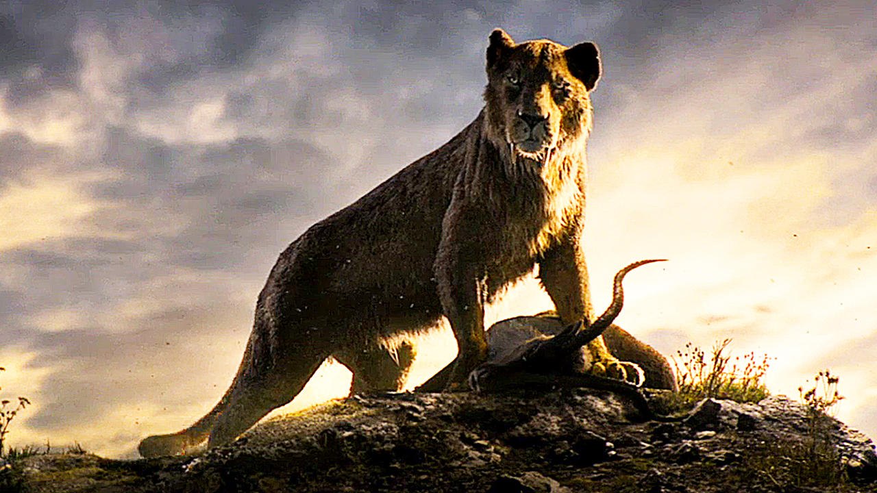 Alpha Trailer 2 (Deutsch) HD