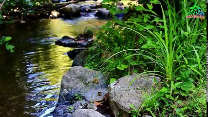 Toba Toba India Ma Asa Bhi Hota Hai  Male Prostitute India Girls In India