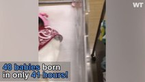 48 Babies Born in 41 Hours At Texas Hospital