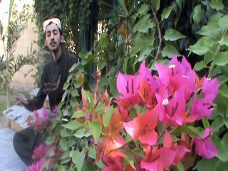 Waqar Ahmed Abbasi Album 2018 HD Naat Chaway Dil Thi Har Har