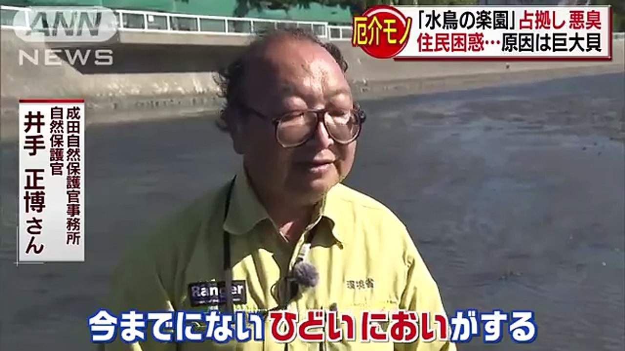 厄介者は誰？「水鳥の楽園」占拠　悪臭に住民も困惑-