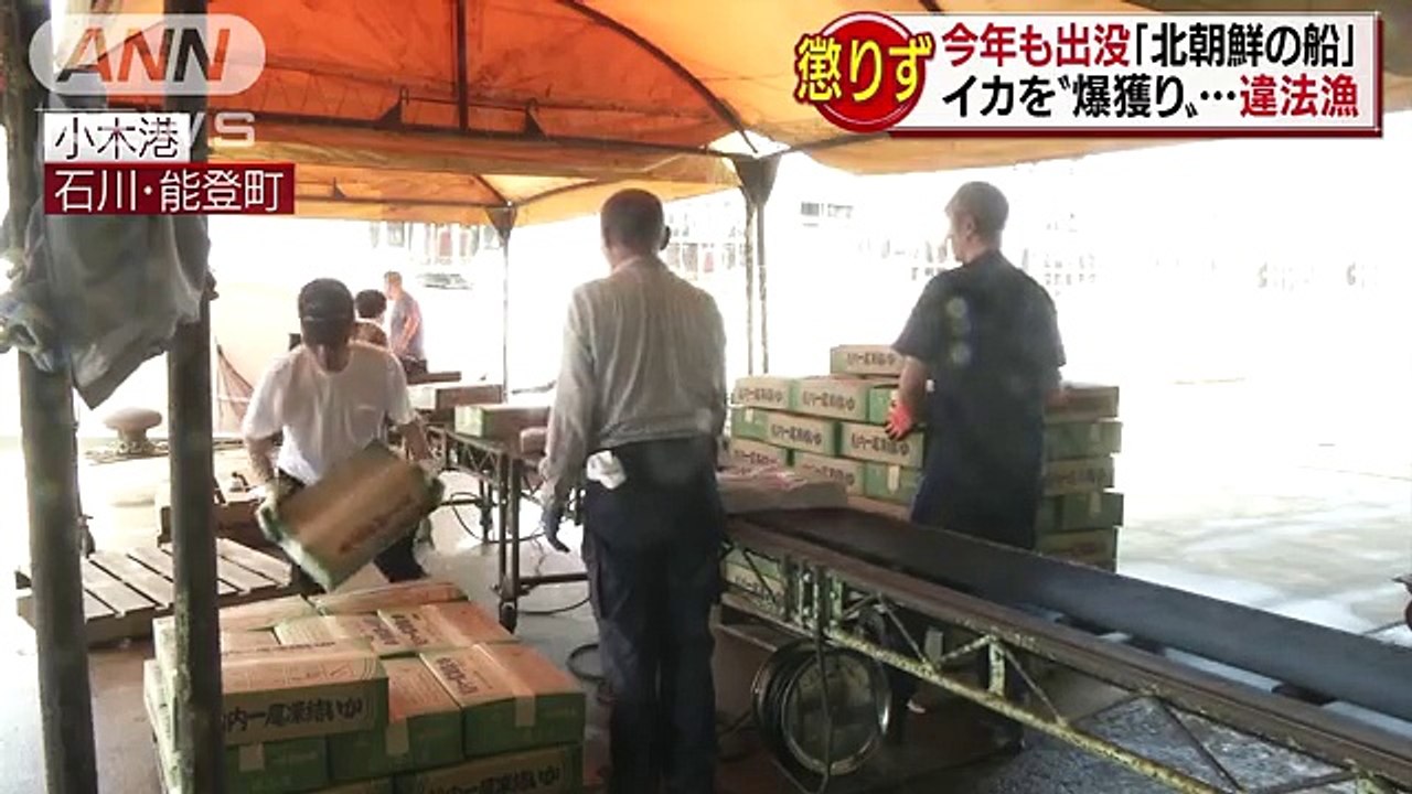 今年も出没「北朝鮮の船」　違法イカ漁の現場激写