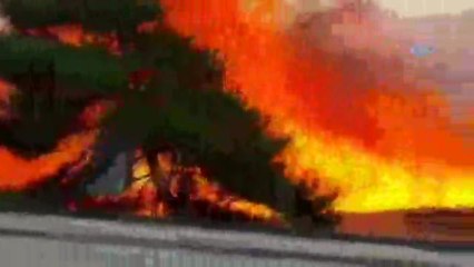 Ankara'da Korkutan Yangın