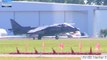 Harrier Jump Jet (AV-8B Harrier II) vs most lethal F-22 Raptor- Aerial maneuvers