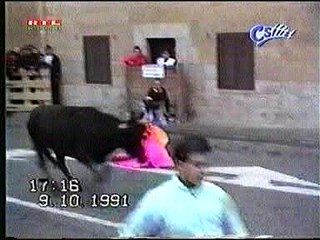 Bloopers - Animal - Bulls Collide