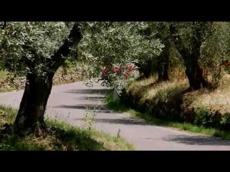 Porsche Boxster Spyder in Guards Red Driving Video | AutoMotoTV