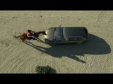 Horse against Seat Leon | AutoMotoTV