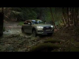 Audi Q5 - Driving Video in Silver - OffRoad | AutoMotoTV