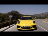 Porsche 911 GT3 Driving in the Country in Yellow | AutoMotoTV