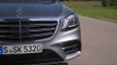 Mercedes-Benz S 500 Driving in the country in Selenite grey metallic | AutoMotoTV
