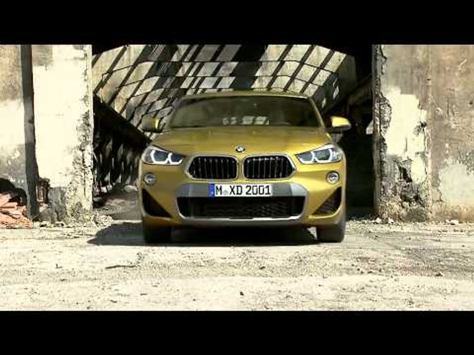 The new BMW X2
