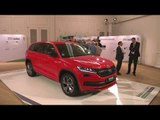 Skoda offers online services for almost all Skoda models as standard