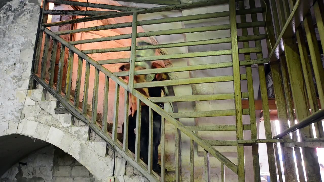 Fabrique artisanale de savons : avec les pieds ils en produisent des milliers !