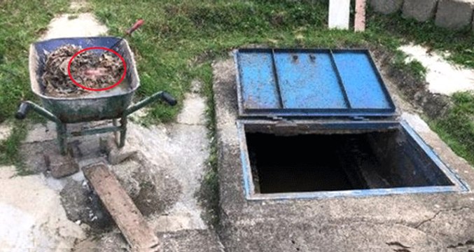 Zonguldak'ta Kanalizasyon İçerisinde Yeni Doğmuş Bebek Cesedi Bulundu