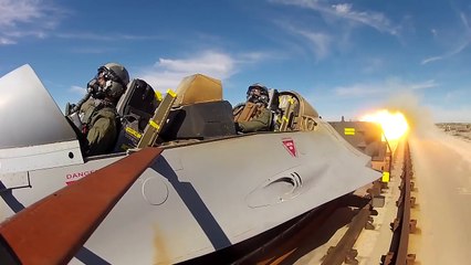 Vibrating Alligators