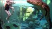 Cet aquarium vous permet de nager avec un crocodile énorme