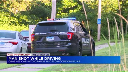 Man Dies After Being Shot in His Car, Then Crashes into Apartment
