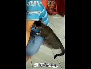 Metrobüste Deodorantın İcatından Haberi Olmayan Biri Yanına Gelir ve Kolunu Kaldırır