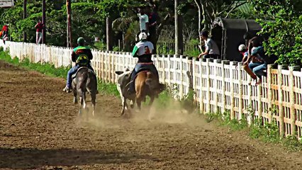 II VALIDA DE COLEO CATEGORÍA  ABIERTA