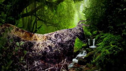 Vom Hobby zum Beruf Sketch History ZDF