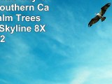 Tin Sign Deco City San Diego Southern California Palm Trees Sailboats Skyline 8X12