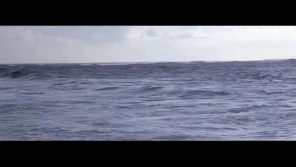 Credit Roll (Adobe Premiere Pro + After Effects) 60fps