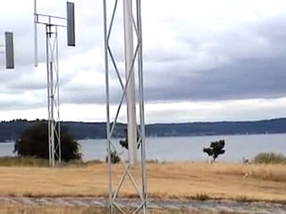 A Sound Garden