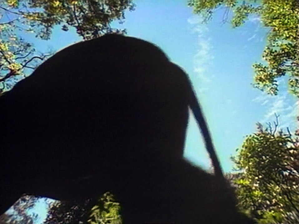 Lifesense 6of6 Life in the Balance