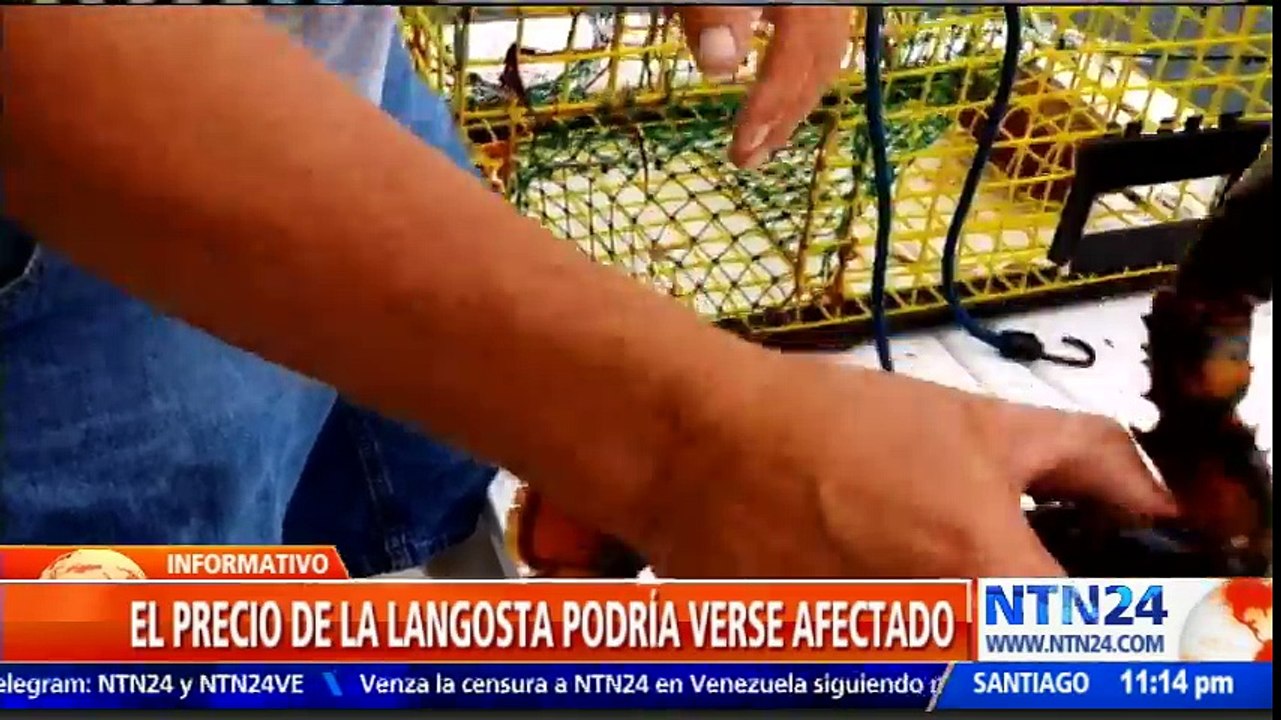 Guerra comercial entre EE. UU. y ChinaGuerra comercial entre EE. UU. y China preocupa a pescadores en Florida