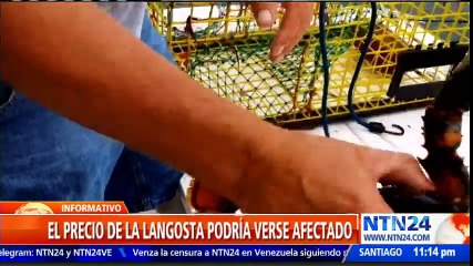 Guerra comercial entre EE. UU. y ChinaGuerra comercial entre EE. UU. y China preocupa a pescadores en Florida