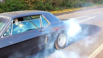 Ford Mustang Burnout Compilation