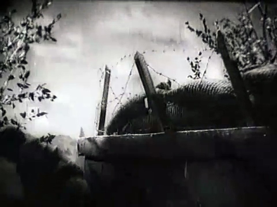 侦.察.兵 (1953).长译B