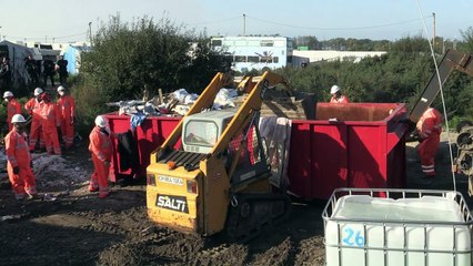 "Dschungel von Calais" ist jetzt Naturschutzgebiet